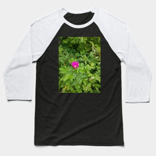 Wild Rose Baseball T-Shirt